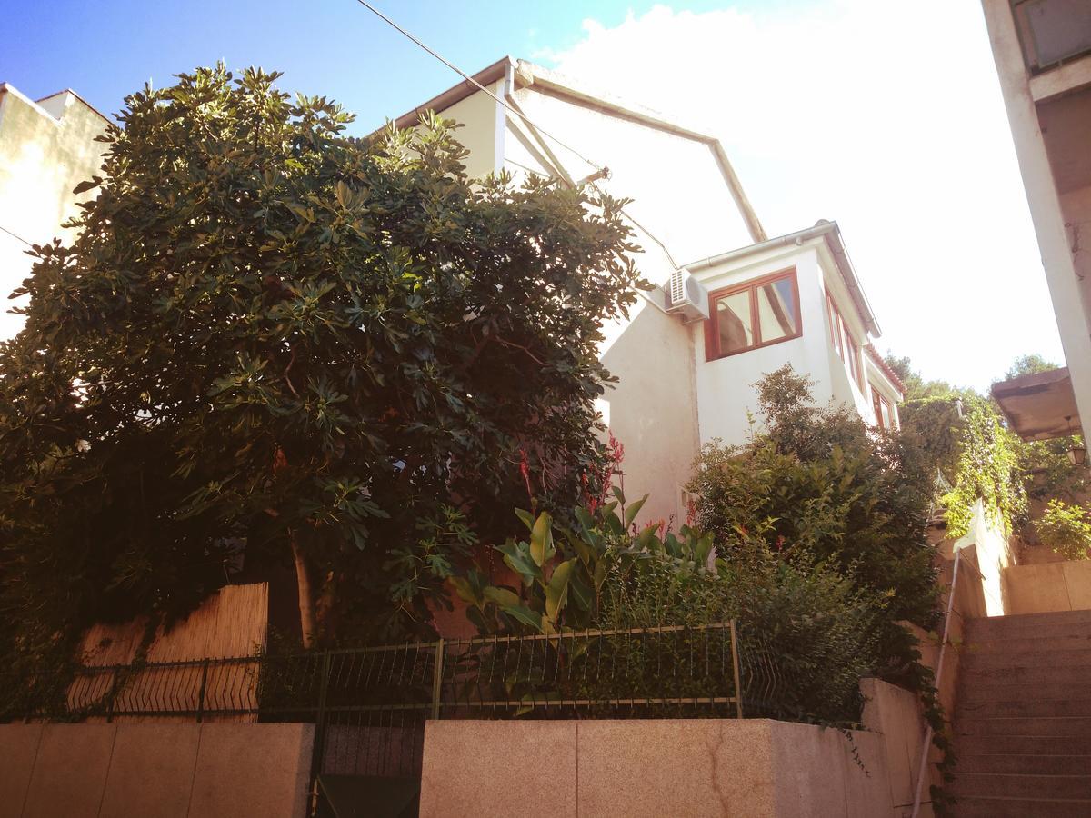 Apartment Seventh Continent Sibenik